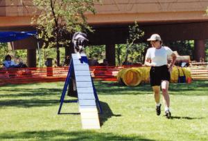 Cody on the Dog Walk in his first agility trial, Mile High Agility, Prescott, AZ  May 13, 2001  